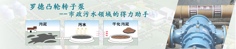 污泥输送泵 污泥输送泵