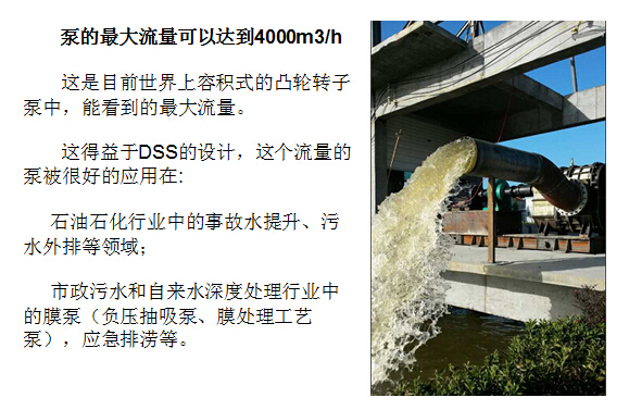 凸轮香蕉短视频看黄网站 凸轮香蕉短视频看黄网站