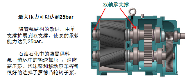 凸轮香蕉短视频看黄网站 凸轮香蕉短视频看黄网站