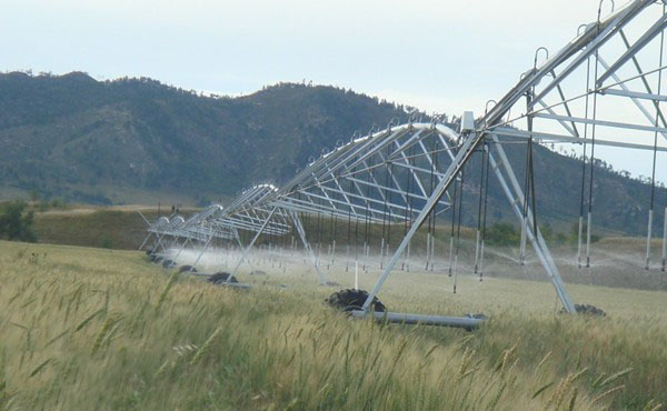 香蕉视频破解版污香蕉视频APP在线观看污参与东北节水增粮项目行动 香蕉视频破解版污香蕉视频APP在线观看污参与东北节水增粮项目行动