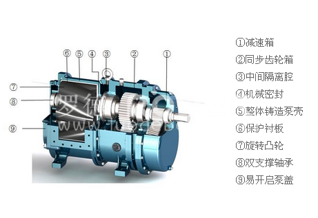 香蕉视频破解版污香蕉短视频看黄网站