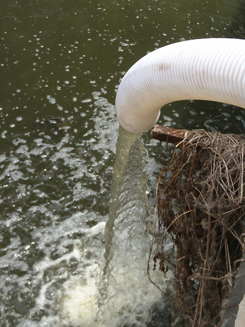 香蕉短视频看黄网站无堵塞香蕉视频APP在线观看污