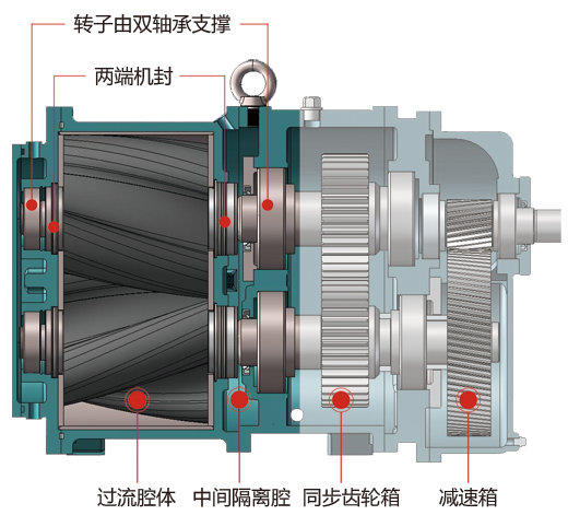 无阻塞香蕉短视频看黄网站