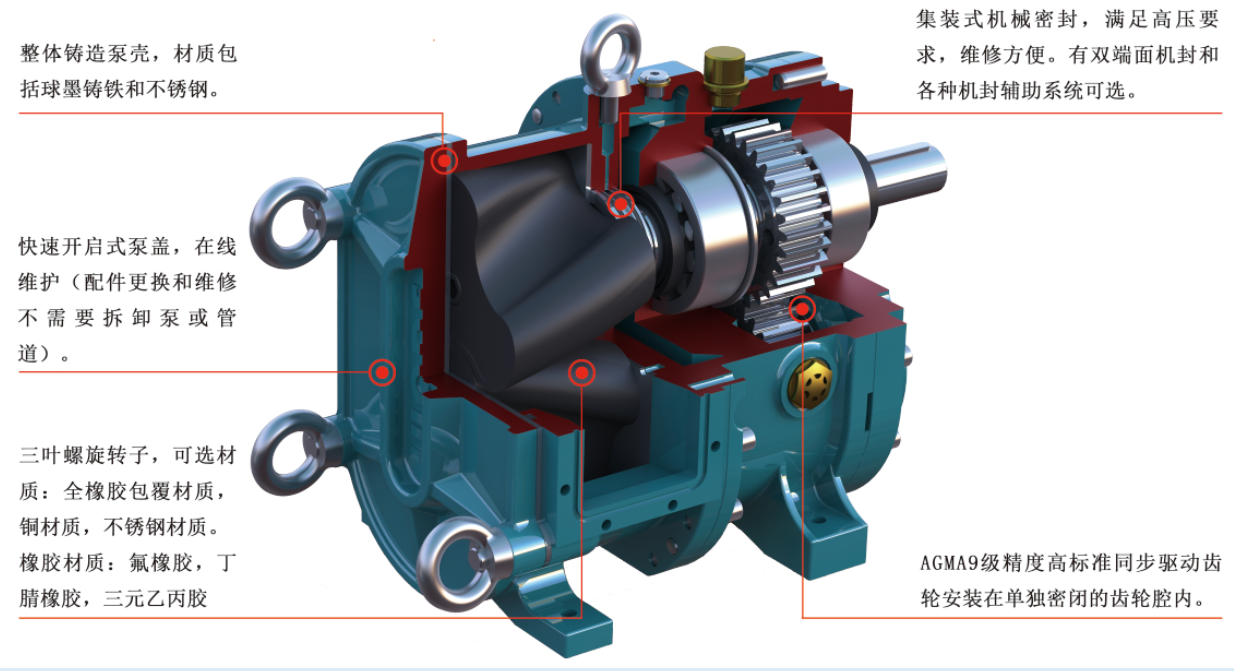 香蕉短视频看黄网站结构 香蕉短视频看黄网站结构