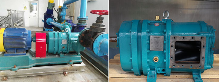 香蕉视频破解版污香蕉短视频看黄网站能替代螺杆泵以及隔膜泵吗？