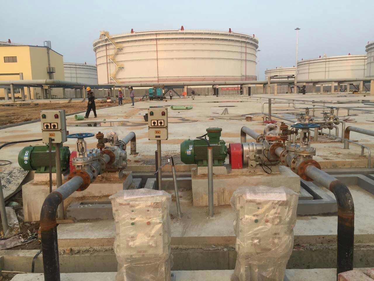 节能香蕉短视频看黄网站 节能香蕉短视频看黄网站