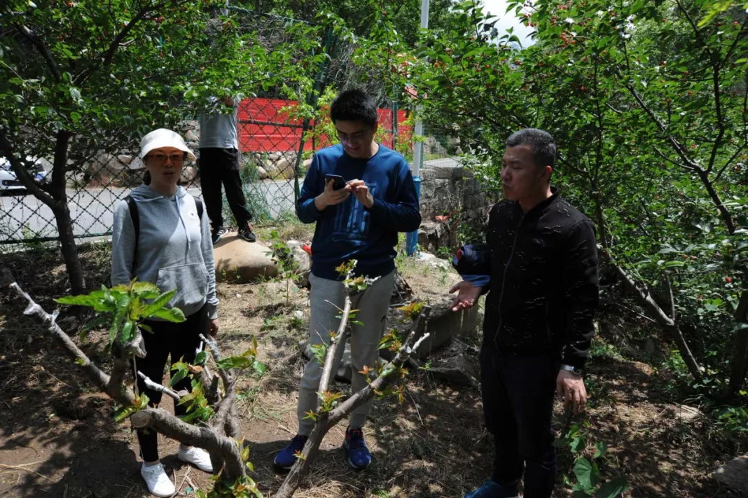 香蕉视频破解版污春游 香蕉视频破解版污春游
