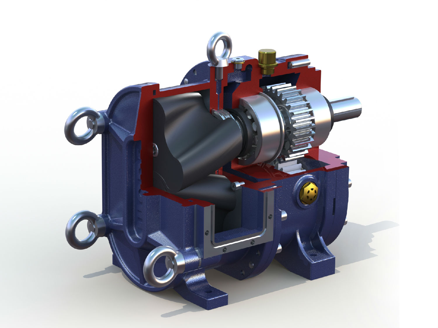 香蕉短视频看黄网站