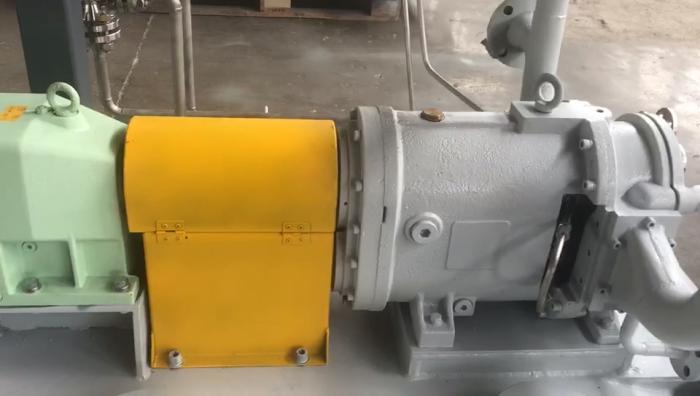 香蕉短视频看黄网站