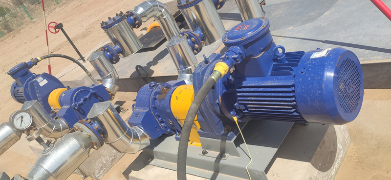 香蕉短视频看黄网站