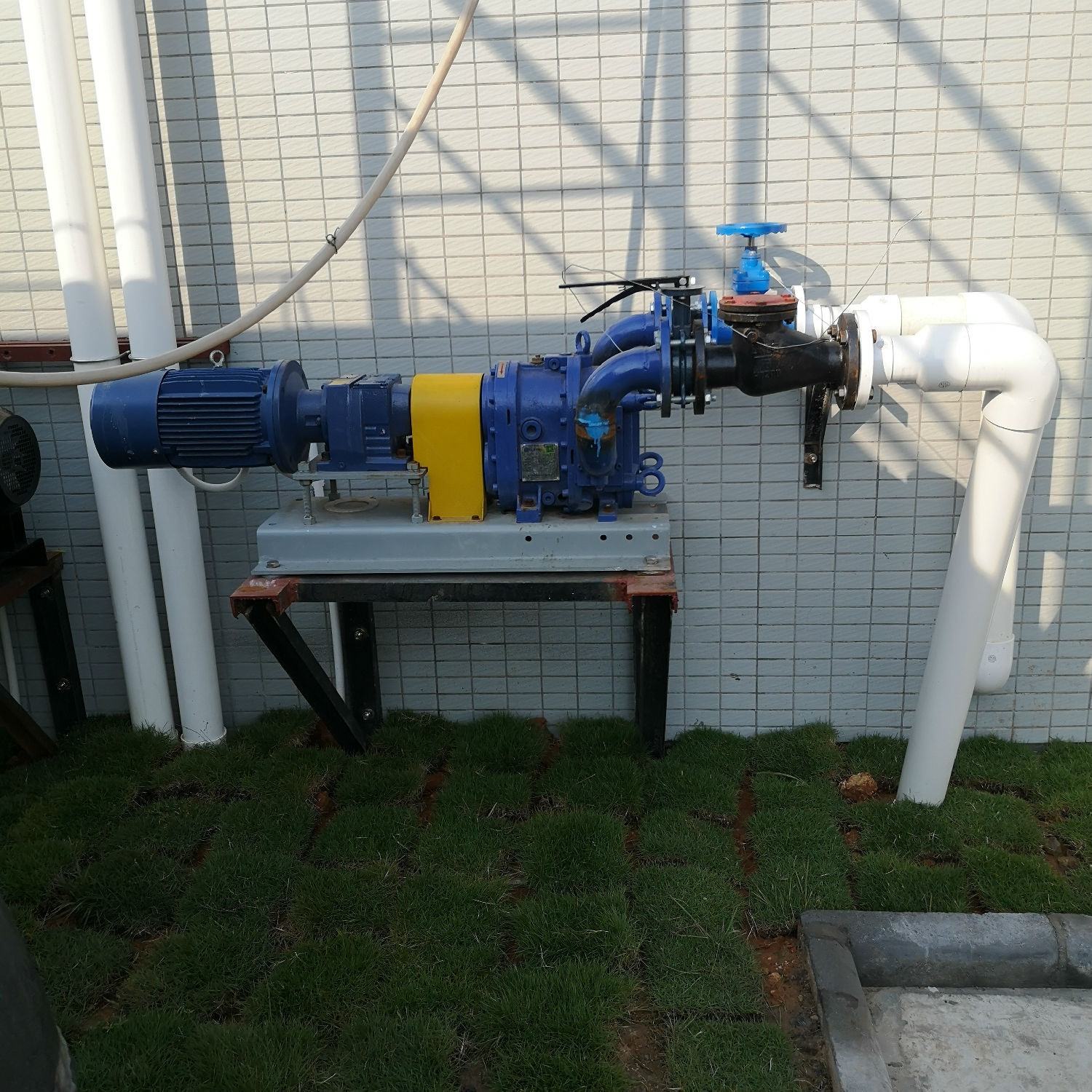 香蕉短视频看黄网站 香蕉短视频看黄网站