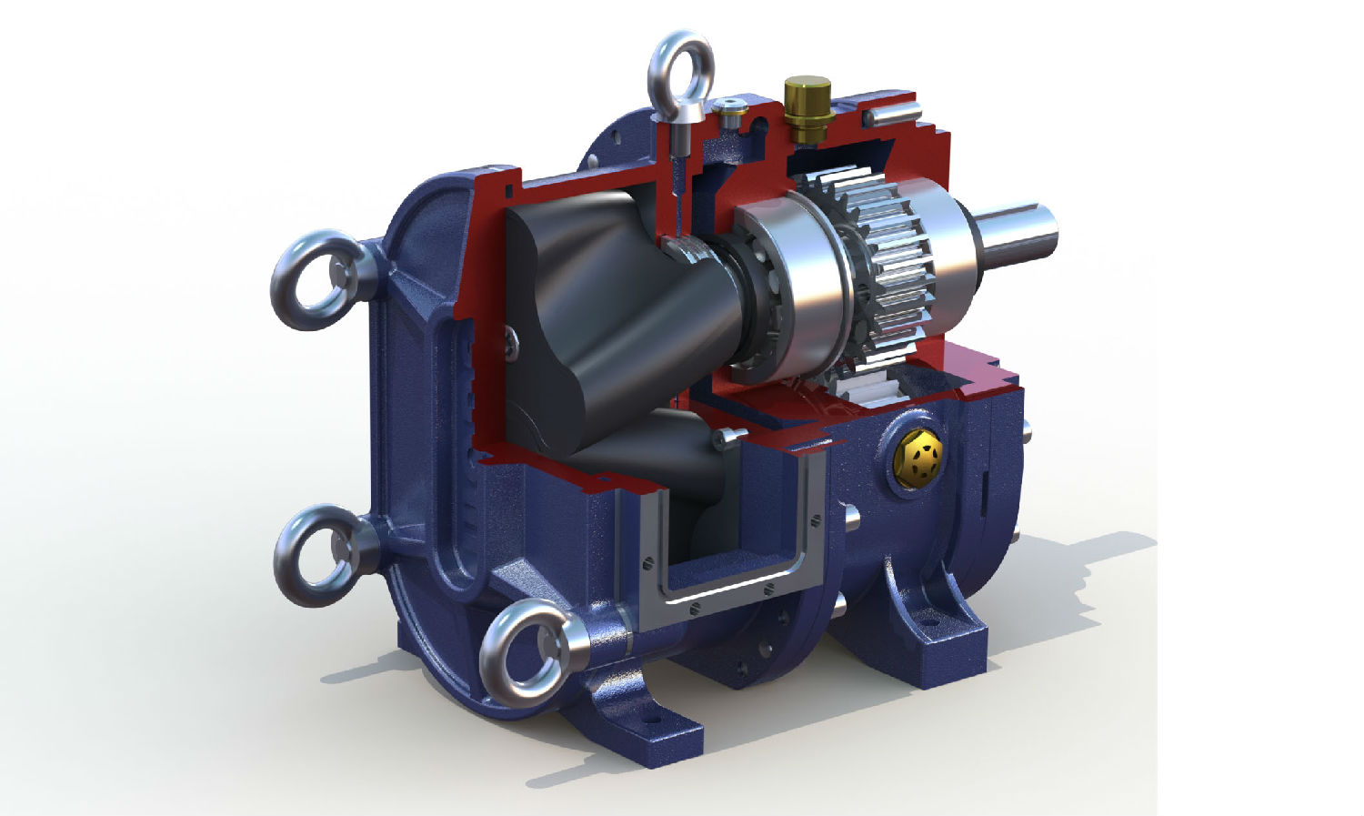 香蕉短视频看黄网站