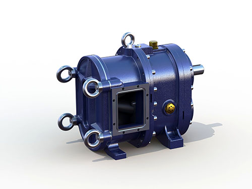 香蕉短视频看黄网站