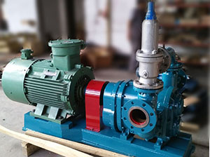 新疆凸轮香蕉短视频看黄网站-含油污泥输送泵 新疆凸轮香蕉短视频看黄网站-含油污泥输送泵