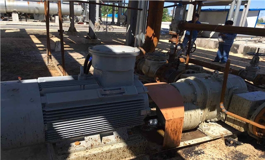 香蕉视频破解版污高粘度原油卸车泵